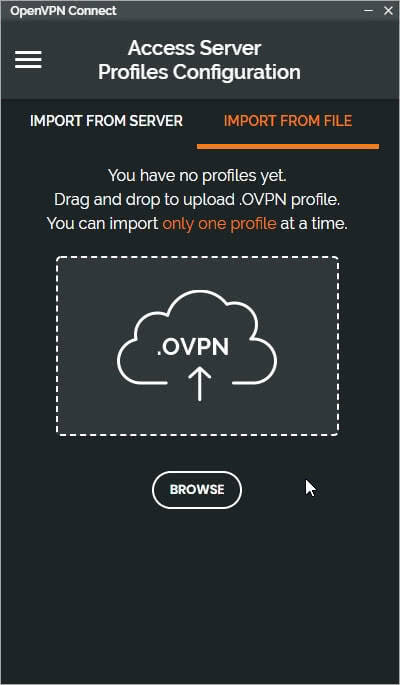 OpenVPN Client Profile Import