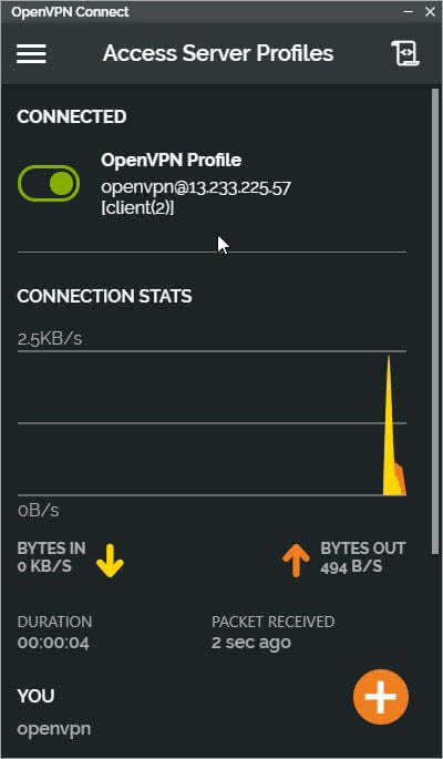 OpenVPN Client Connection