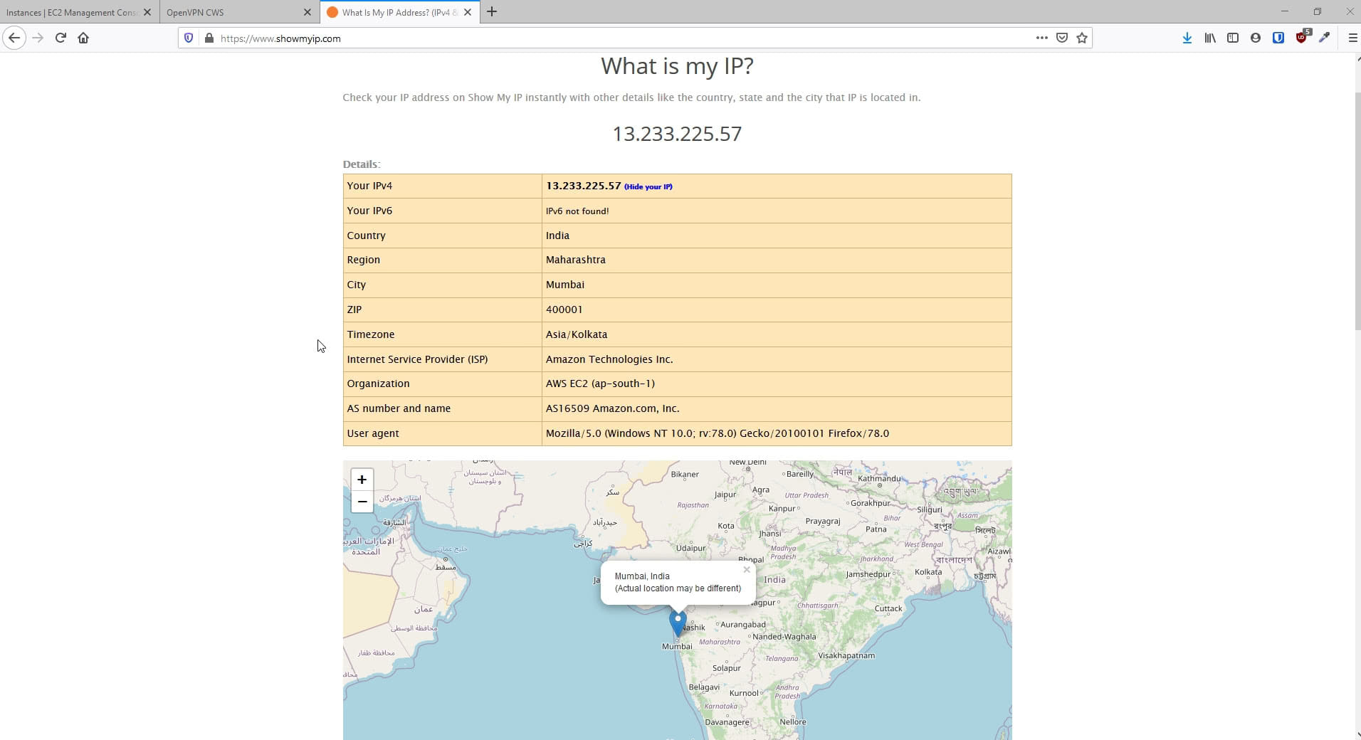 VPN Connection Status 4
